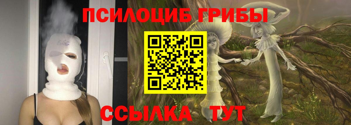 Галлюциногенные грибы мухоморы Балашов