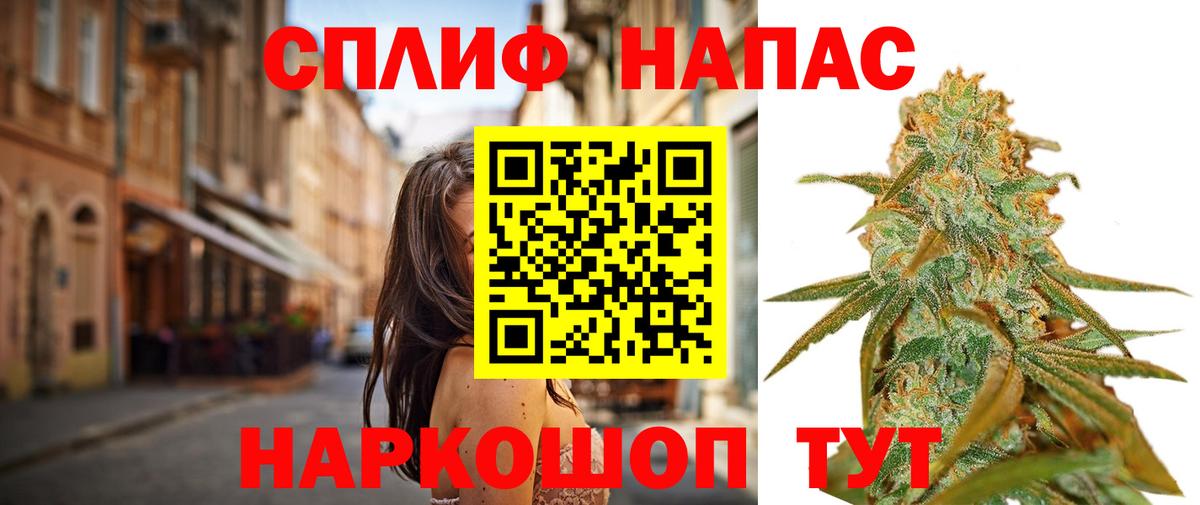 Каннабис OG Kush Балашов